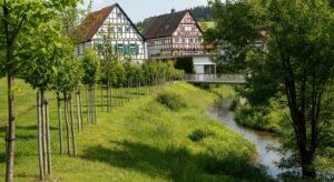 Nachhaltige Dorfentwicklung, Wartmannsroth, Bachsystem Klingenbach, Renaturierung, naturnahe Form, Lebensraume, Hochwasserschutz, klimatische Anpassungsfahigkeit, Ortsdurchfahrt, Dorfplatz, Nachhaltige Dorfentwicklung in Wartmannsroth: Bachsystem Klingenbach erfolgreich renaturiert